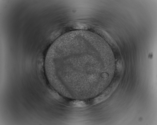 X0000102360322200808291231