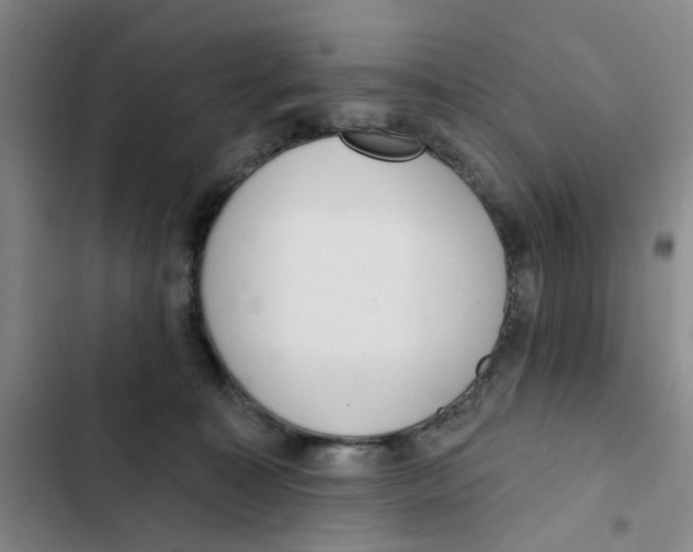 X0000102360323200808291231