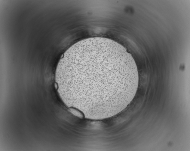 X0000102360324200808291231