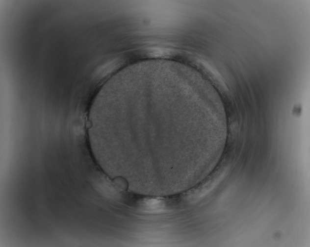X0000102360325200808291231