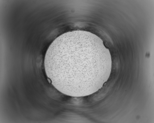 X0000102360328200808291231