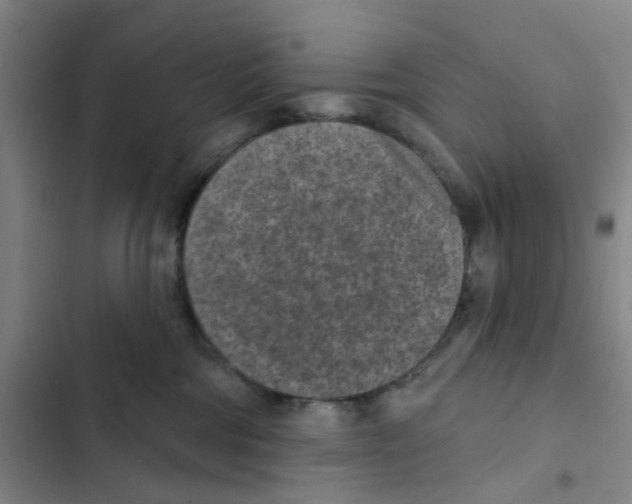 X0000102360330200808291231