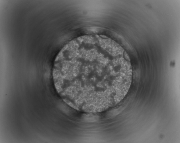 X0000102360331200808291231