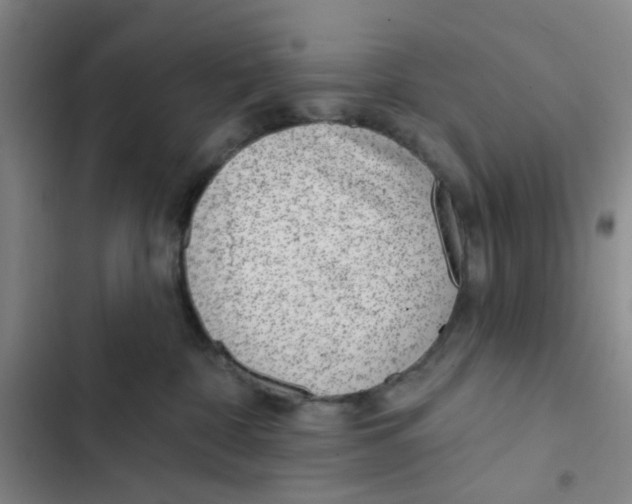 X0000102360332200808291231