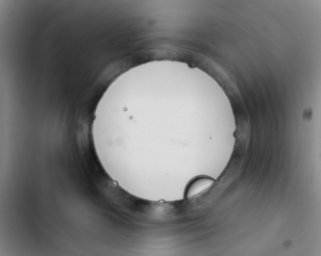 X0000102360333200808291231