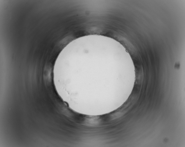 X0000102360334200808291231