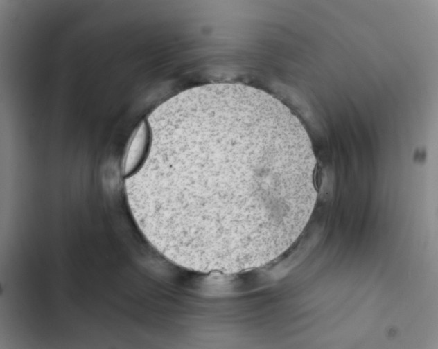 X0000102360335200808291231