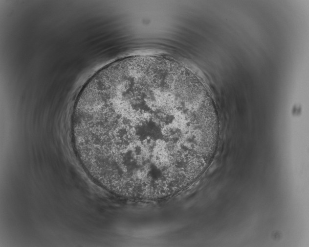 X0000102360337200808291230