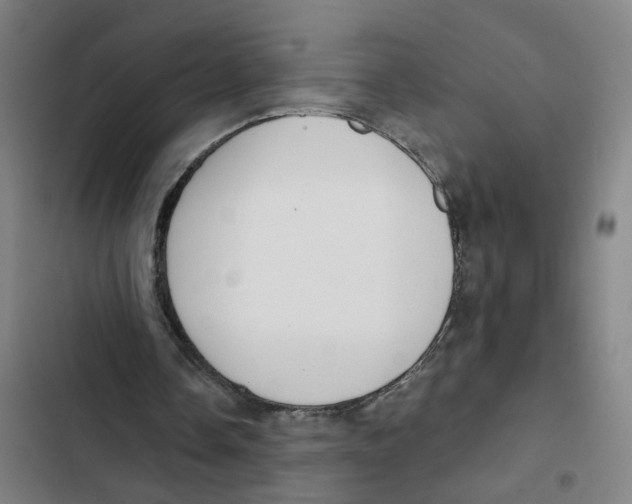 X0000102360338200808291230