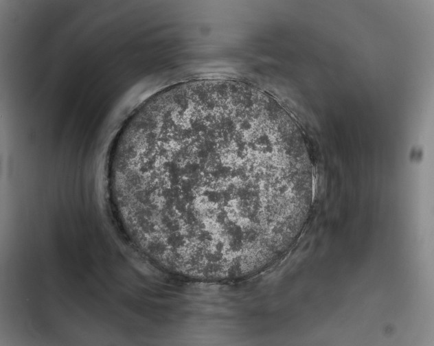 X0000102360339200808291230