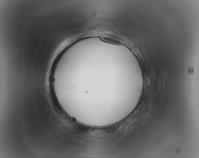 X0000102360340200808291230