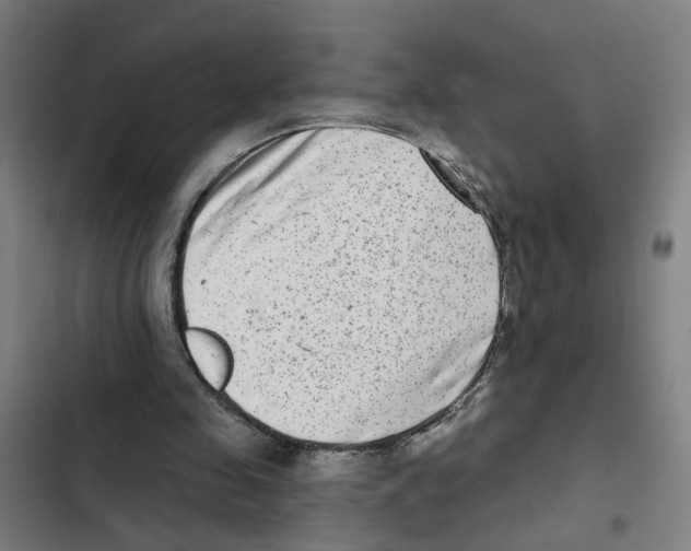X0000102360341200808291230