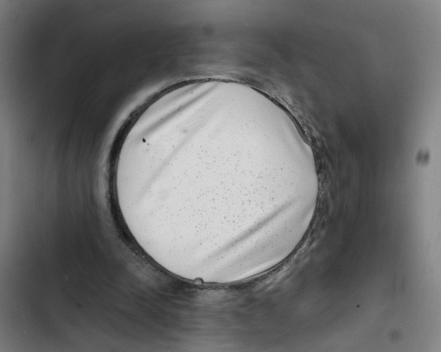 X0000102360342200808291230