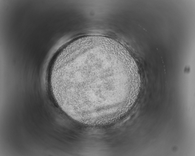 X0000102360343200808291230