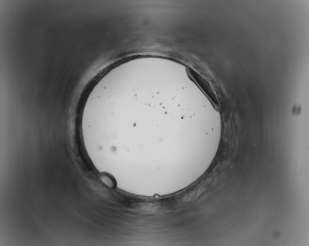 X0000102360344200808291230