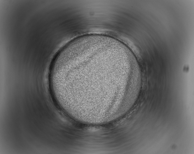 X0000102360346200808291230