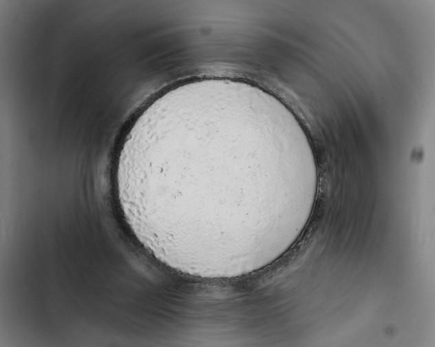 X0000102360347200808291230