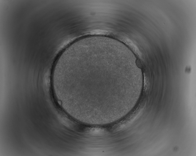 X0000102360348200808291230