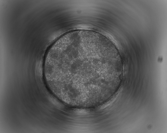 X0000102360349200808291230