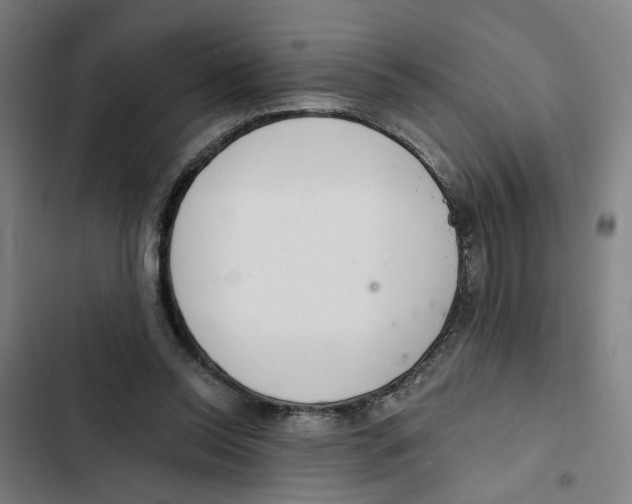 X0000102360350200808291230