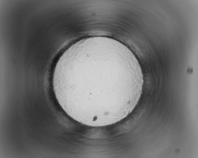 X0000102360351200808291230