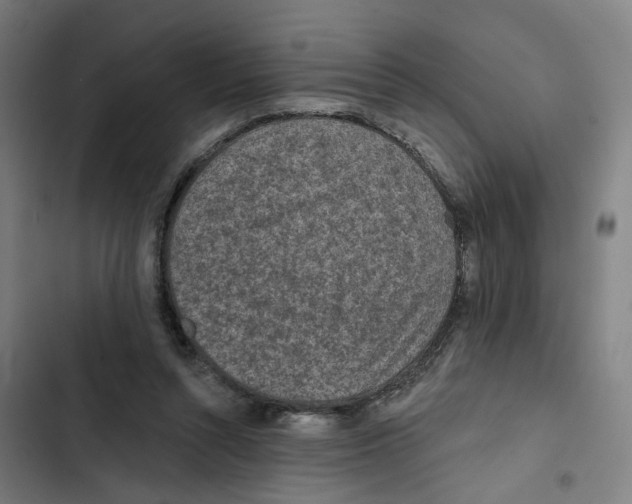 X0000102360352200808291230