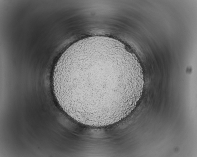 X0000102360353200808291230