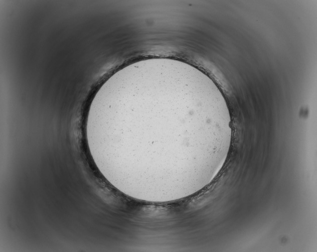 X0000102360354200808291230