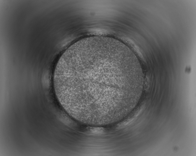 X0000102360355200808291230