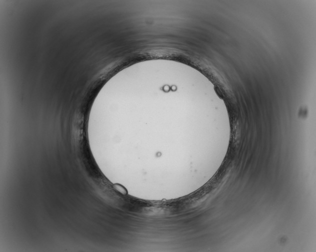 X0000102360356200808291230