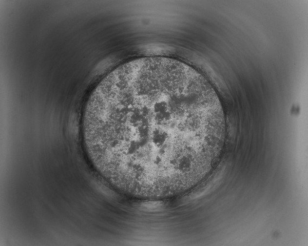 X0000102360357200808291230
