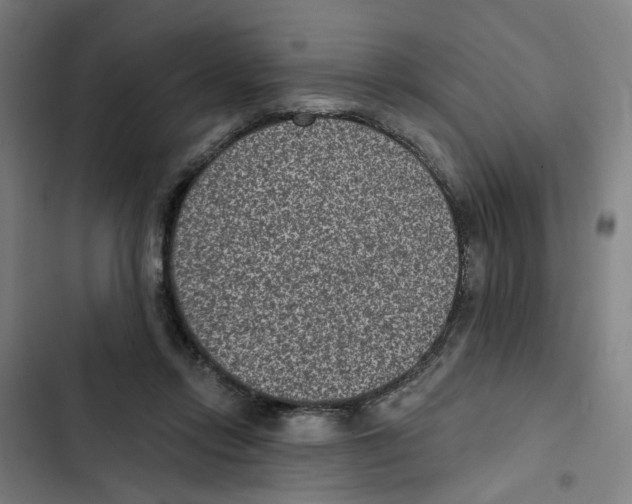 X0000102360358200808291230