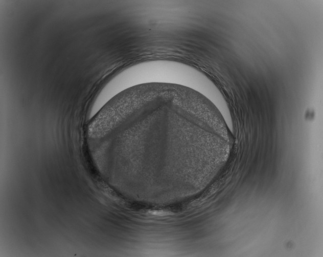 X0000102360360200808291230