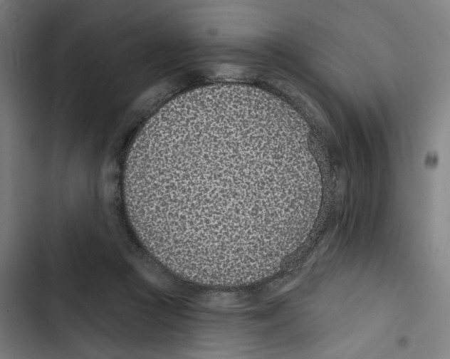 X0000102360361200808291230