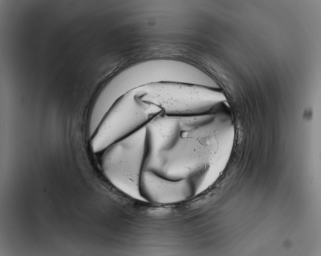 X0000102360362200808291230