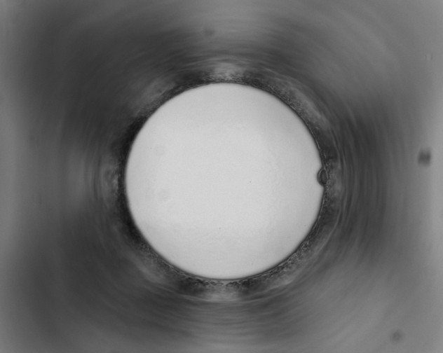 X0000102360363200808291230