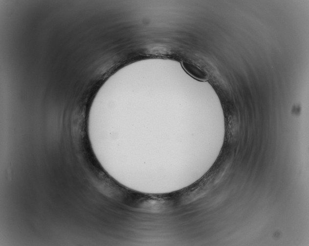 X0000102360364200808291230