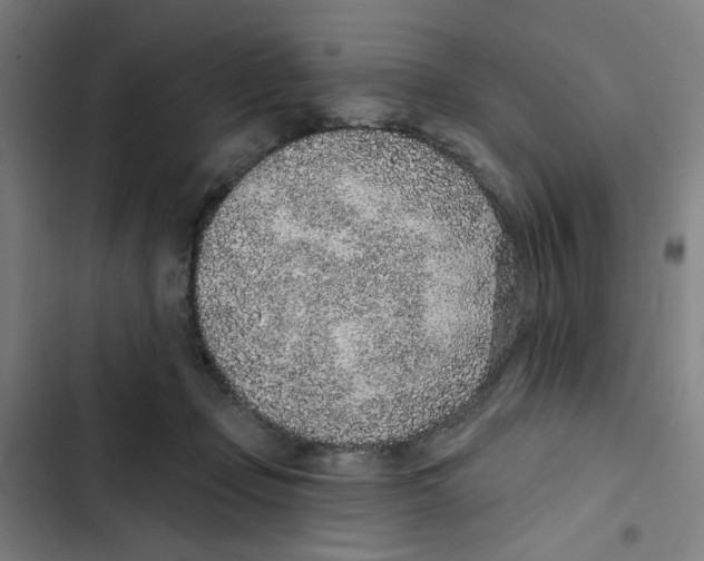X0000102360365200808291230
