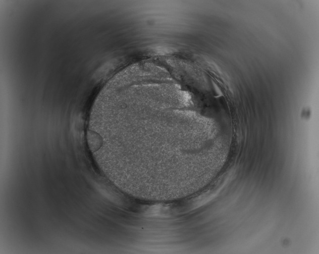X0000102360366200808291230
