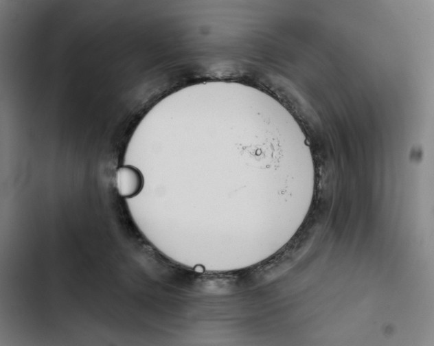 X0000102360368200808291230