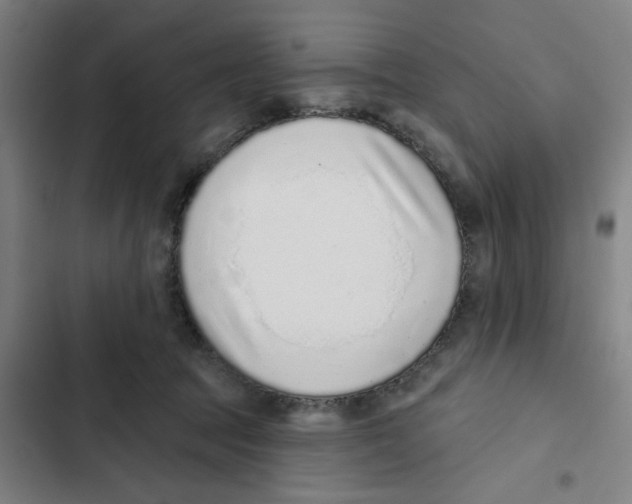 X0000102360369200808291230