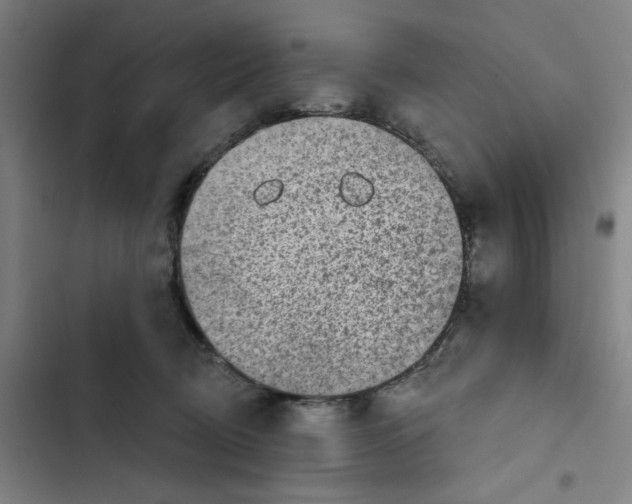 X0000102360370200808291230