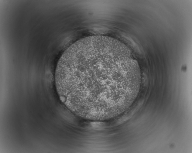 X0000102360371200808291230