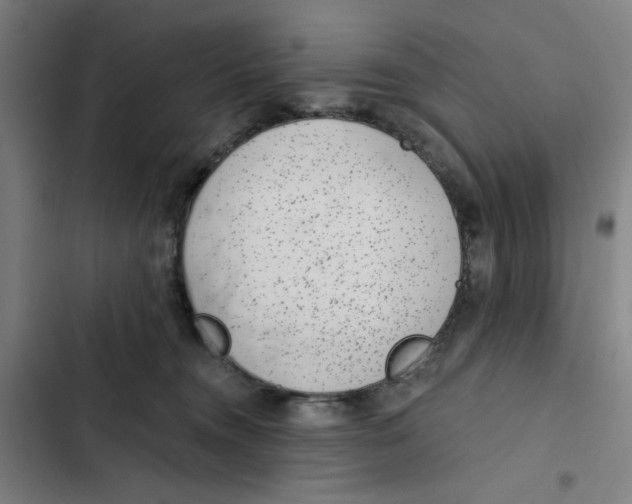 X0000102360372200808291231