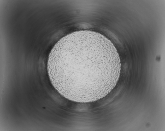X0000102360373200808291231
