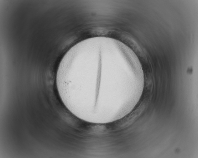X0000102360374200808291231