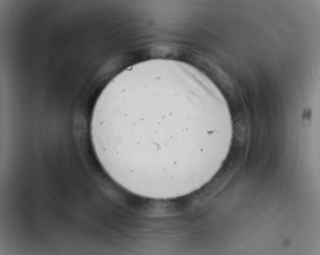 X0000102360375200808291231