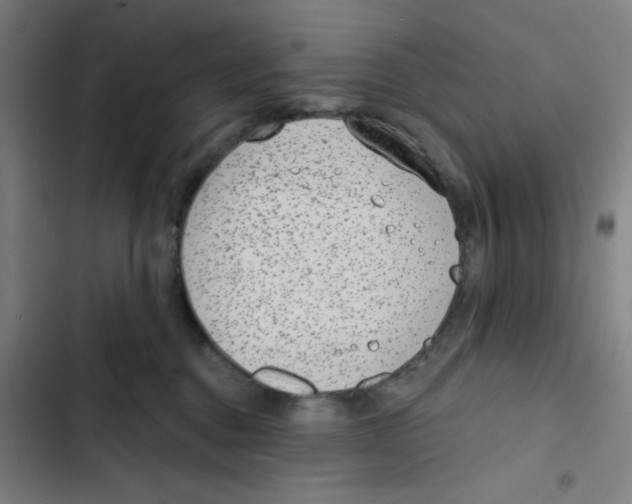 X0000102360376200808291231