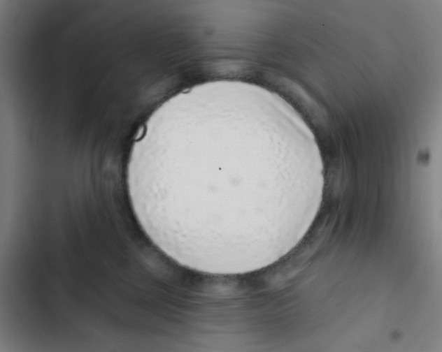 X0000102360377200808291231
