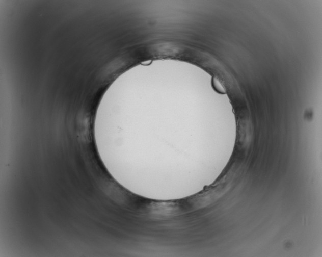 X0000102360378200808291231